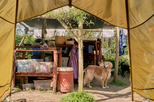1 Day Bushcraft Course in Kent